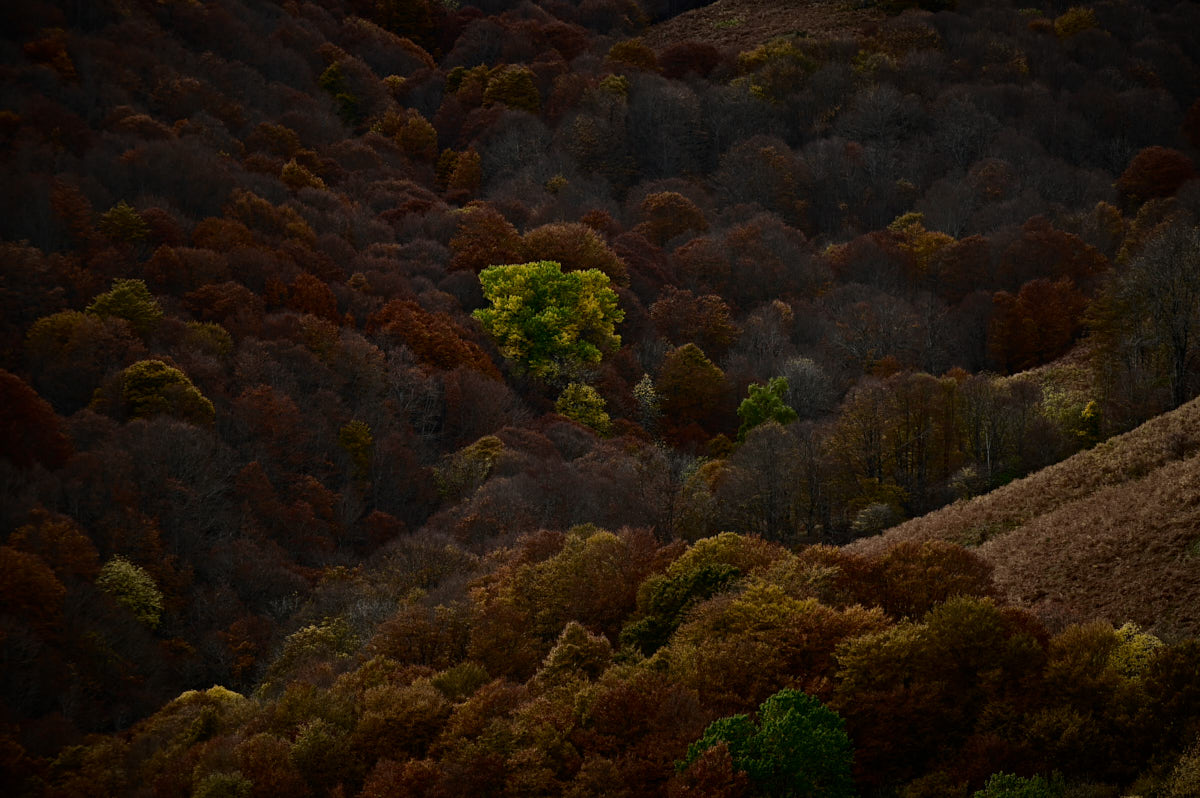 Stacks Image 136